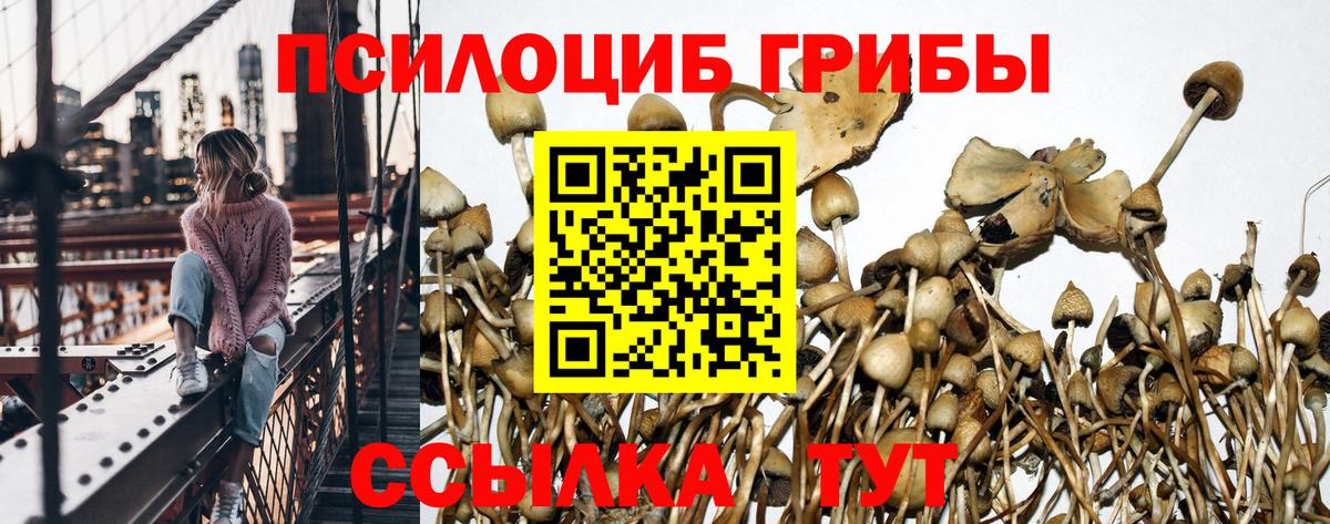 Псилоцибиновые грибы Psilocybine cubensis  Псилоцибиновые грибы Magic Shrooms  Вход с VPN  Кыштым 